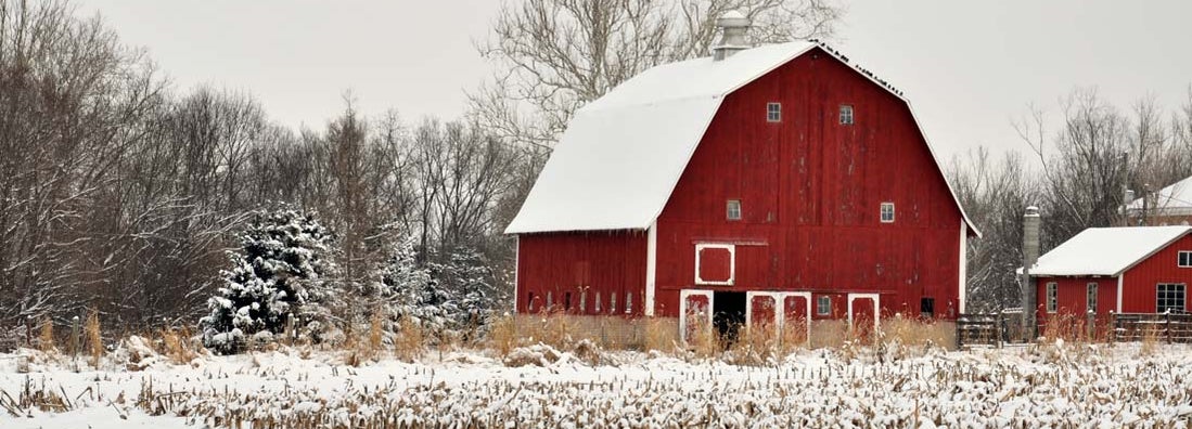 Vernon Hills Illinois Farm Insurance