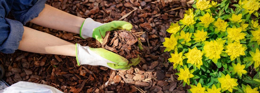 South Carolina Landscapers Insurance