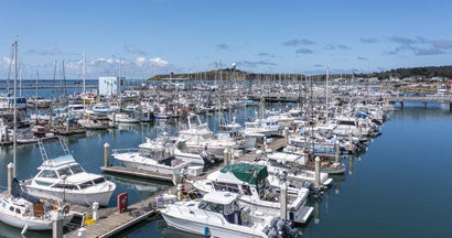 Half Moon Bay Marina Brimming With Boats on Crystal Clear Waters. When Is the Best Time to Buy a Boat?