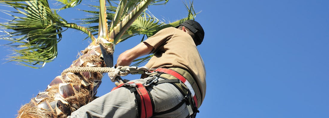 Hawaii Workers' Compensation
