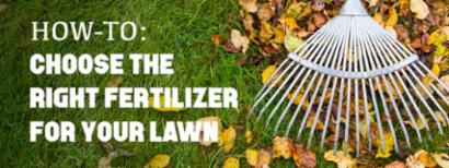 How-To Choose the Right Fertilizer