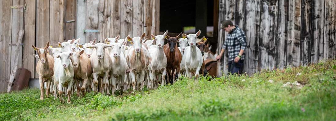 Can your hobby farm insurance be the same as your home insurance?
