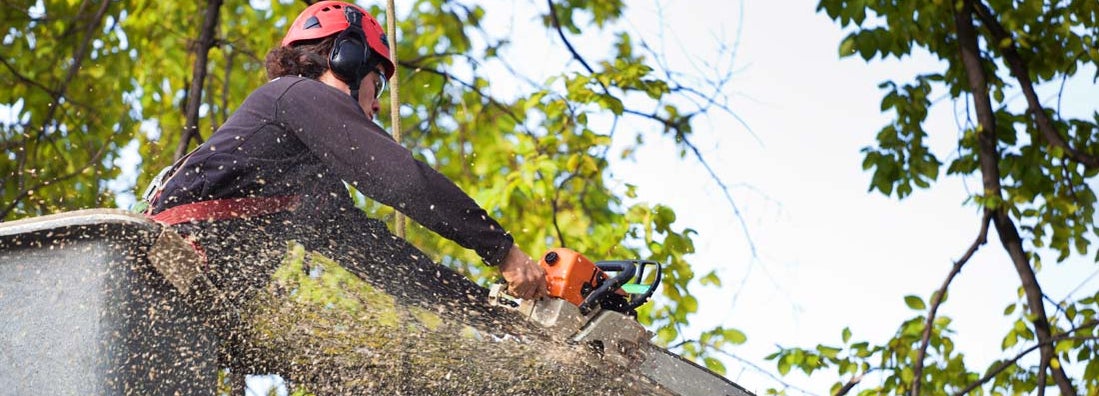Tree Service Insurance