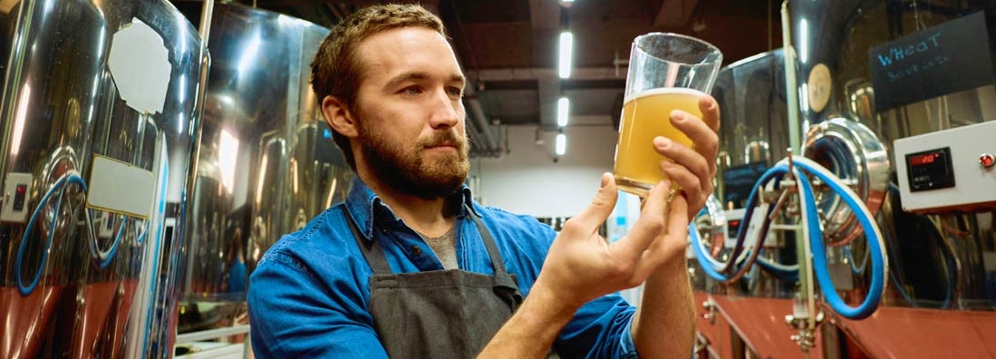 Young serious brewer with glass of beer evaluating its visual characteristics. Find brewery insurance.