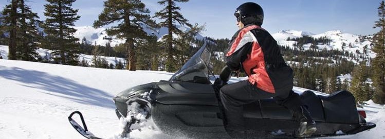 Safe snowmobile rider in the forest