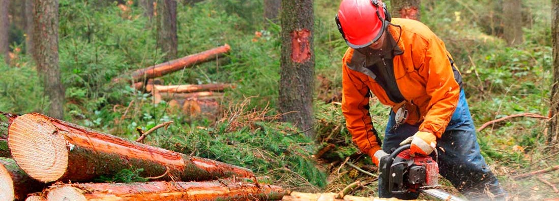 Oregon Workers Compensation Insurance
