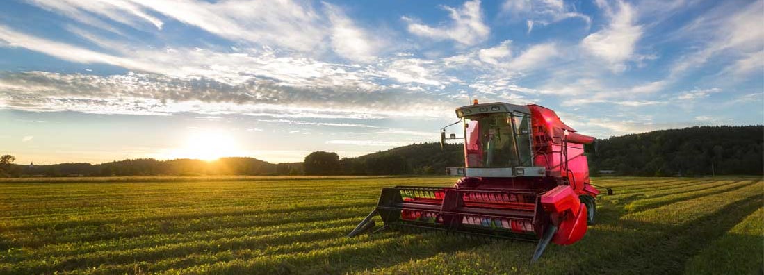 Big red combine harvester in sunset light. How to Insure Farm Equipment.