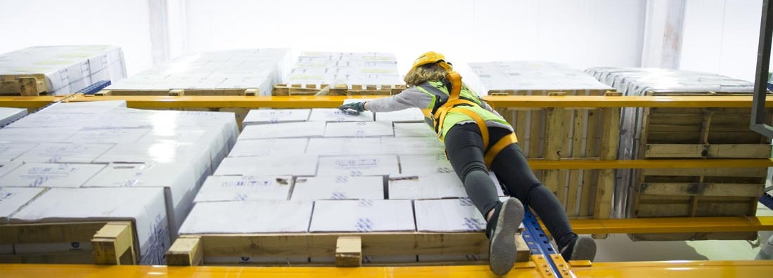 Women with safety harness in warehouse. Workers Compensation Insurance State Laws and Requirements.