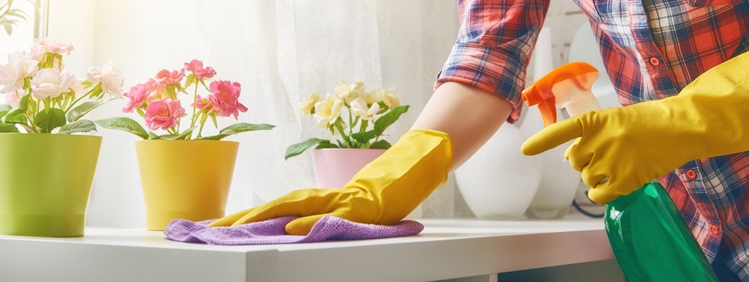 Woman cleaning the house. 