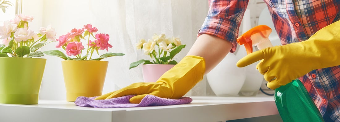 Woman cleaning the house. 