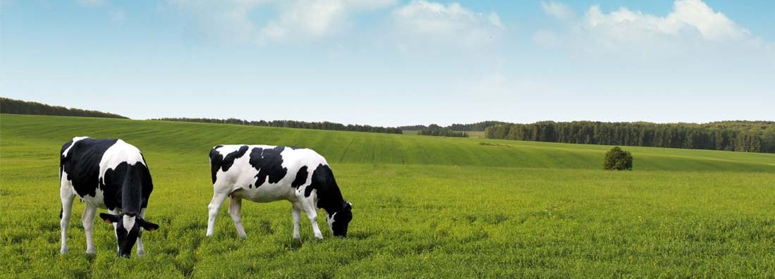 Crops vs livestock