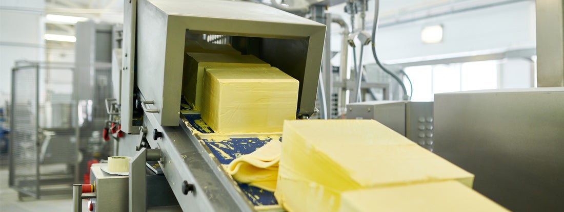 Conveyor line with butter cubes moving down for further manufacturing process at food plant