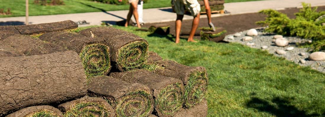 Landscape Installation Service Insurance