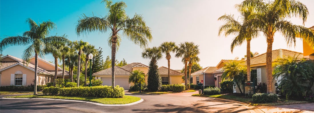 Gated community houses with palms, South Florida 