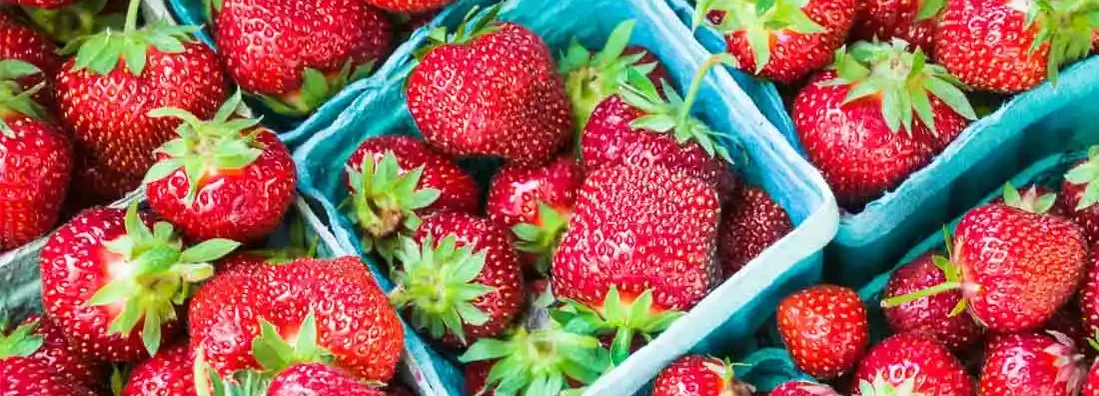 Baskets of juicy, ripe strawberries at a Cape Cod farmers market. Find Farmers Market Insurance.