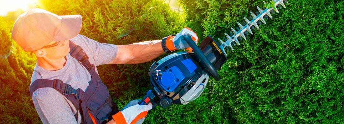 Snowplowing and landscaping service insurance