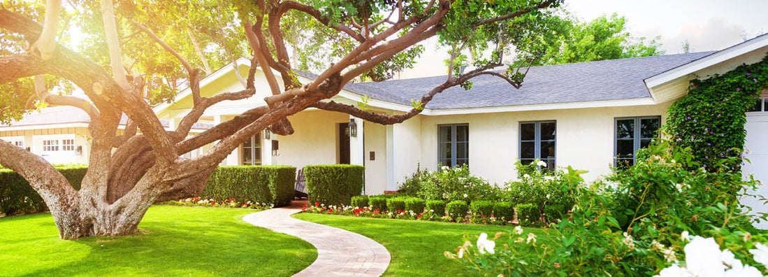 Homeowners vs Renters Insurance