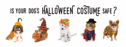 Dogs in Costume