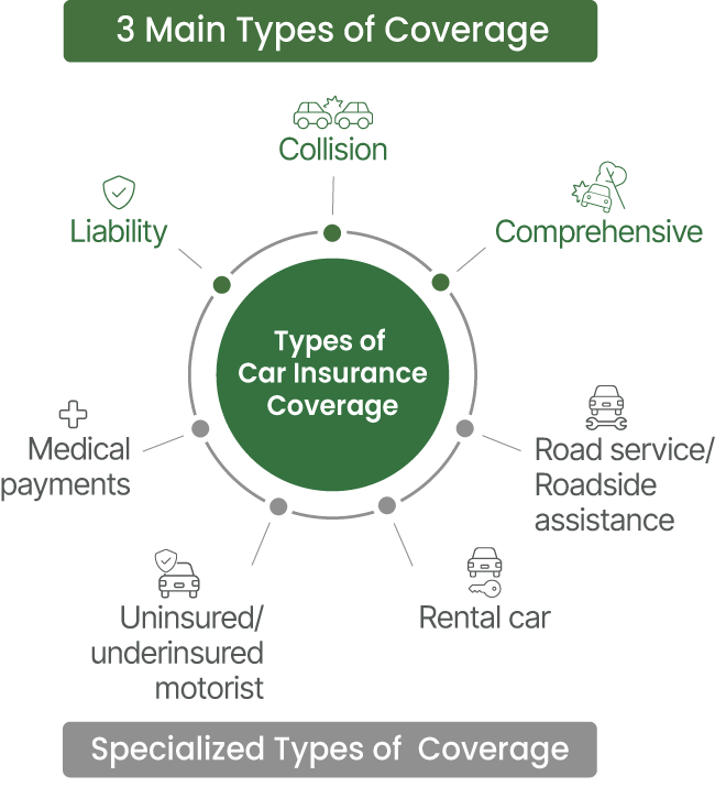 Main types of car insurance. Specialized types of car insurance.