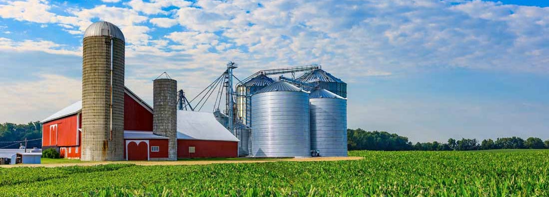 Midwest farm with spring corn crop and red barn