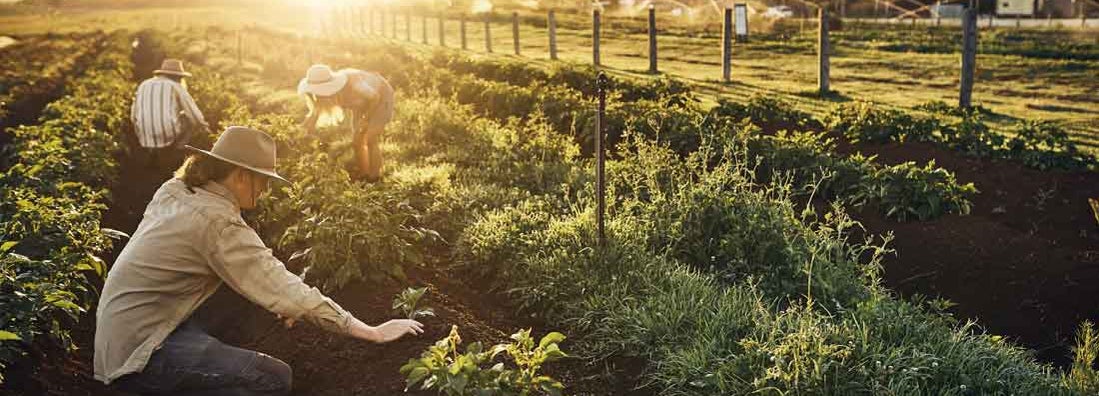Farm Workers Compensation