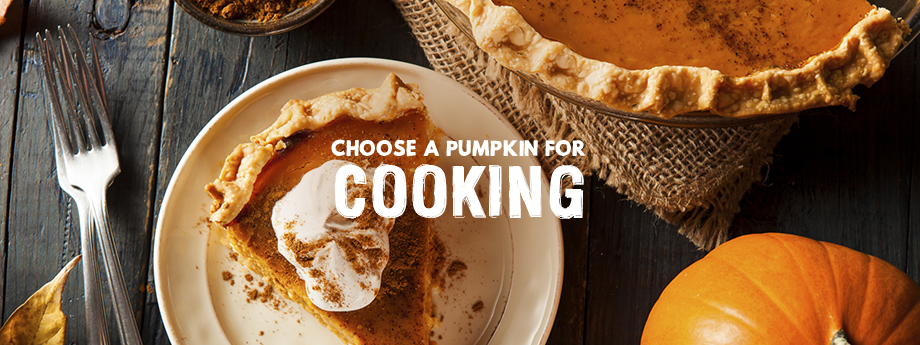 Pumpkin pie