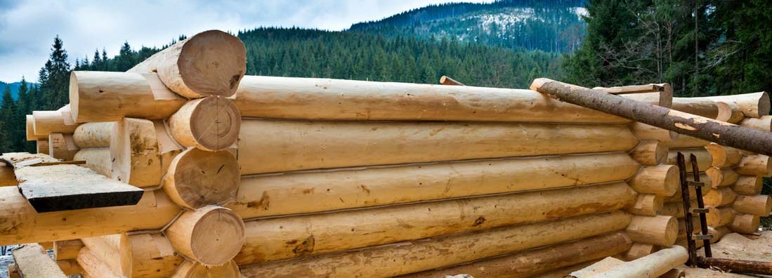 Log home builders insurance