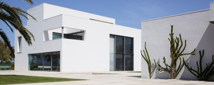 large white house with cactus
