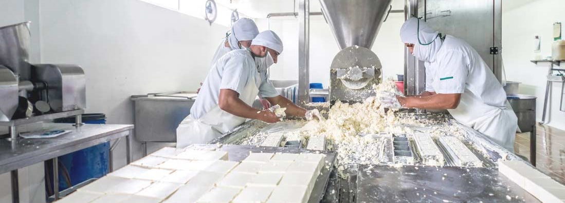 Cheese Manufacturing
