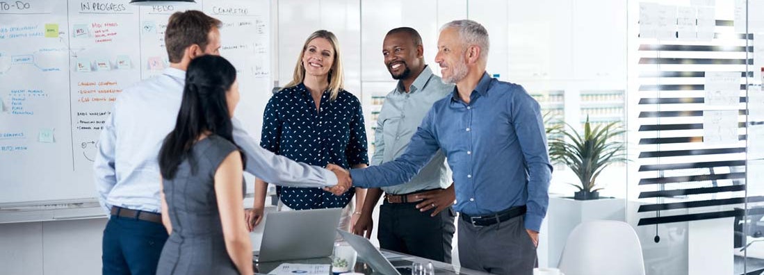 Executive Search Insurance