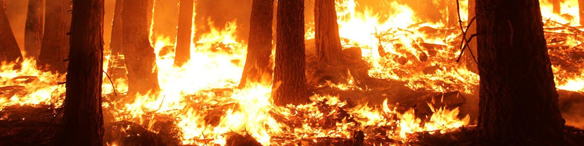 Wildfires around college campuses