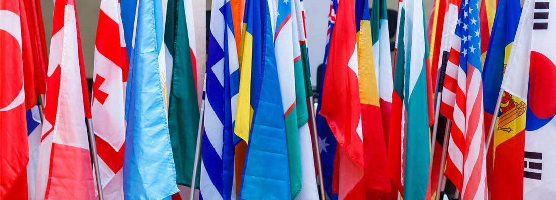 International flags in a row at flag shop
