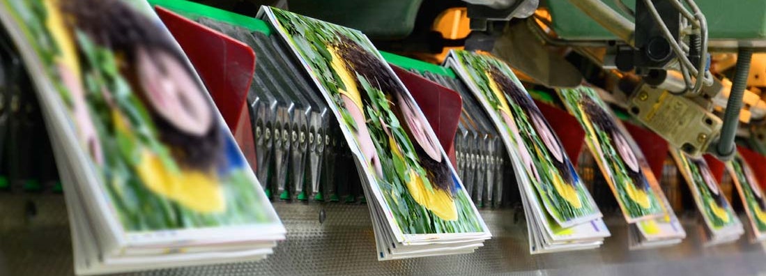 Magazine Printer Insurance