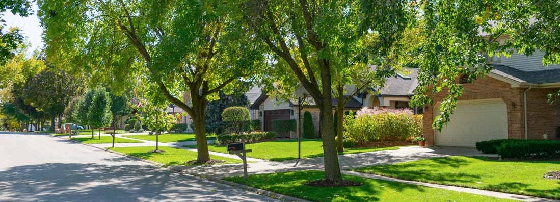 Chesaning, Michigan Homeowners Insurance