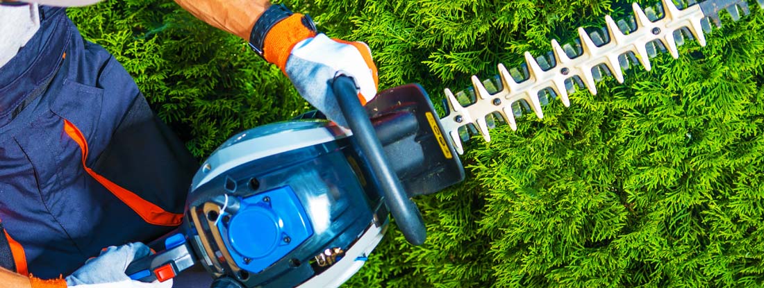 landscaper trimming a bush