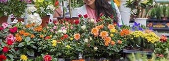 Woman selecting flowers at a flower market