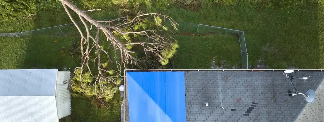 Hurricane damaged house rooftop covered with protective plastic tarp against rain water leaking until replacement of asphalt shingles. Find Roof Insurance.