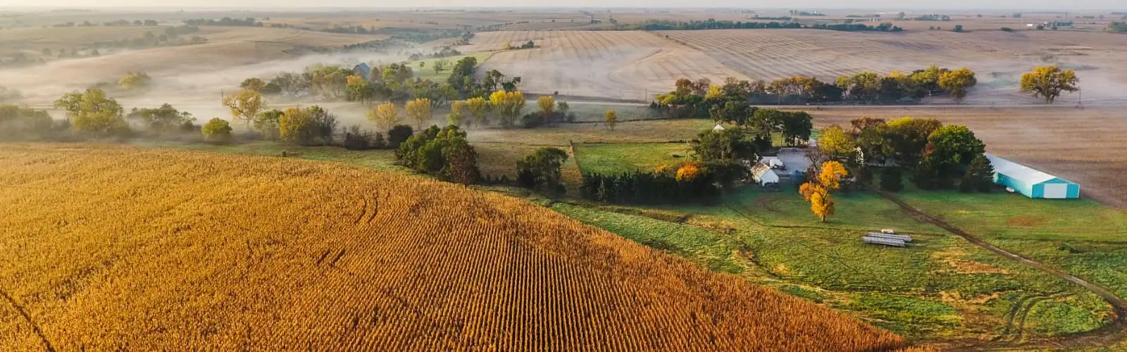 Farm with corn field at sunrise. Find Nebraska insurance.