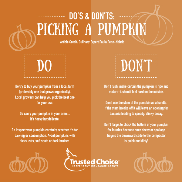pumpkin infographic
