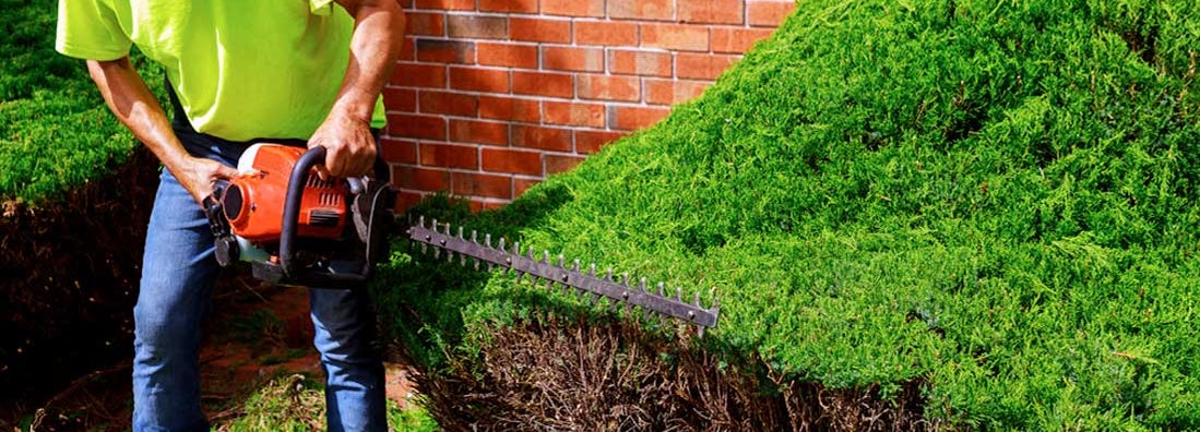 Massachusetts Landscapers Insurance