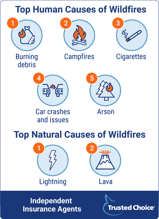 Top Causes of Wildfires.