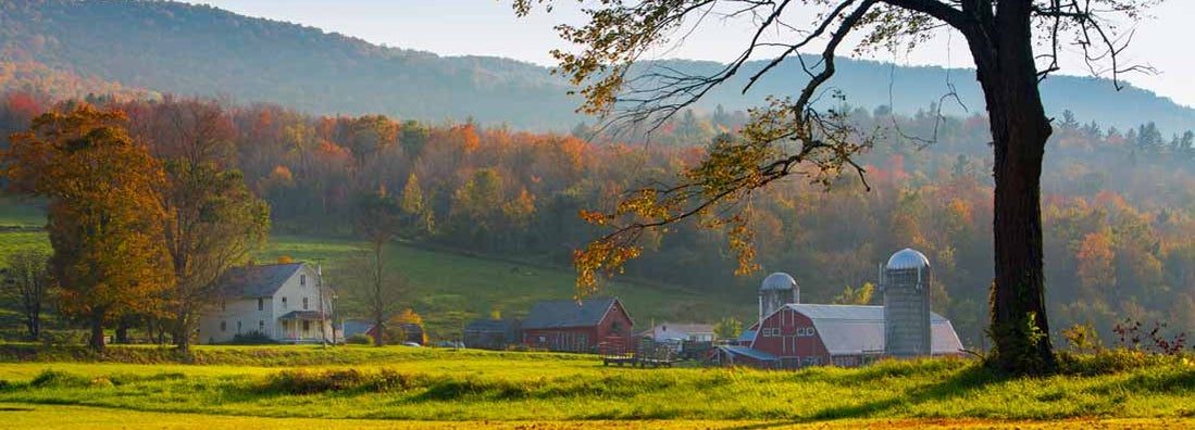 Farm umbrella insurance