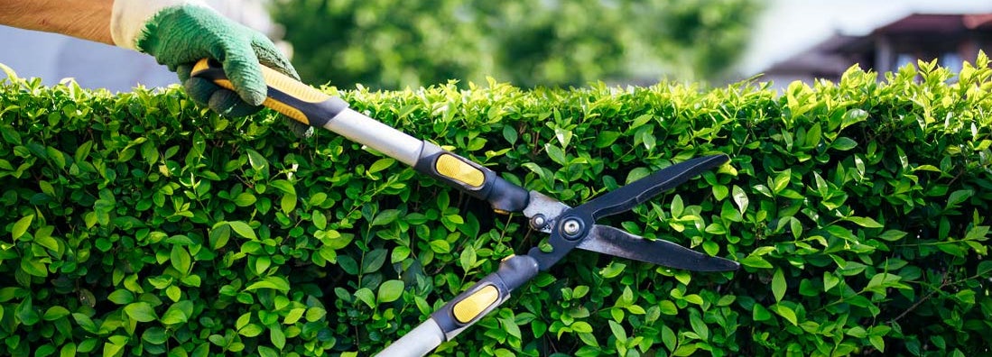 Illinois Landscapers Insurance
