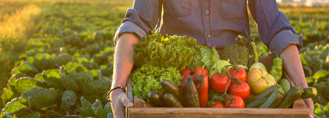 Man holding crate of fresh vegetables to sell