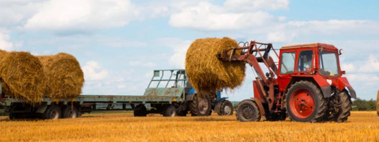 Tractor loading hay on a truck 