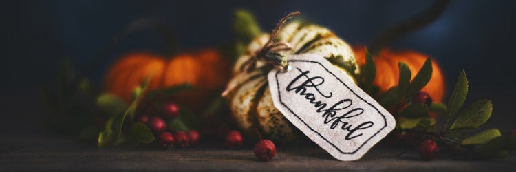 Fall pumpkin arrangement with message of Thanks