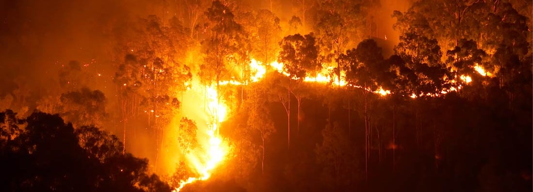 A wildfire burns uphill in the mountains. 5 homeowners insurance steps after wildfire. 