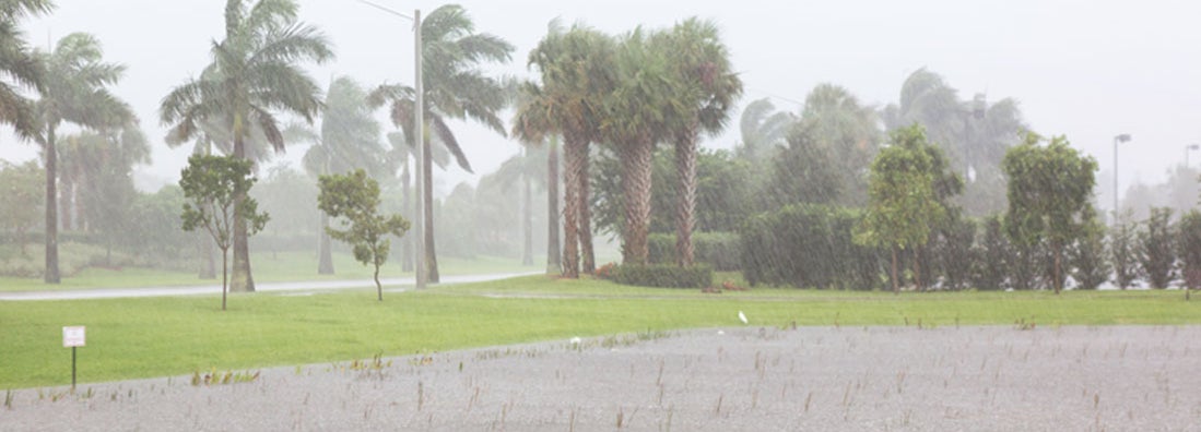 Clearwater Florida Flood Insurance