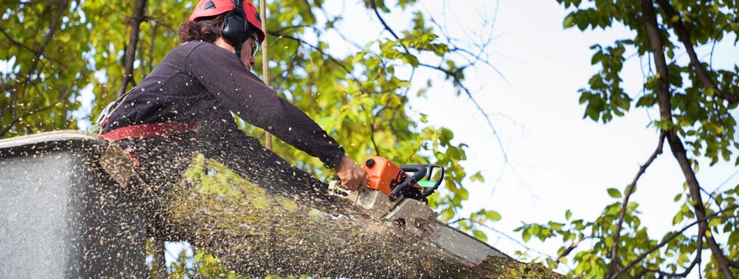 Tree Cutter