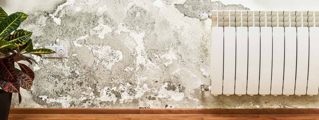 Mold and moisture buildup on wall of a modern house. Find Mold Insurance. 